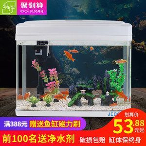 龍魚沉在缸底