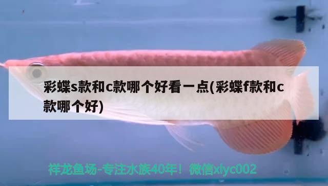 白城觀賞魚店地址電話多少號（首字是食物,花果樹木,動物,方位,數字的）