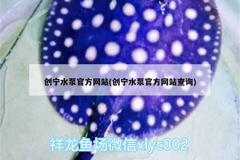 創寧水泵官方網站(創寧水泵官方網站查詢)