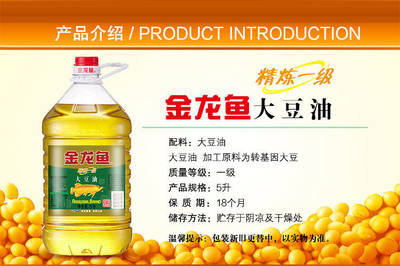 斗魚缸造景教程圖解視頻（斗魚缸造景教程圖解視頻大全）