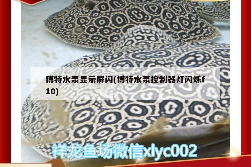 博特水泵顯示屏閃(博特水泵控制器燈閃爍f10)