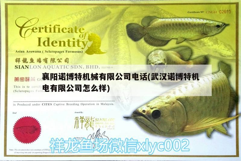 襄陽諾博特機械有限公司電話(武漢諾博特機電有限公司怎么樣) 襄陽諾博特機械有限公司電話(武漢諾博特機電有限公司怎么樣) 博特水族