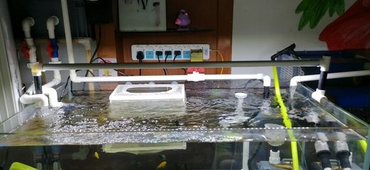 pvc水管魚缸怎么制作：pvc水管魚缸制作教程