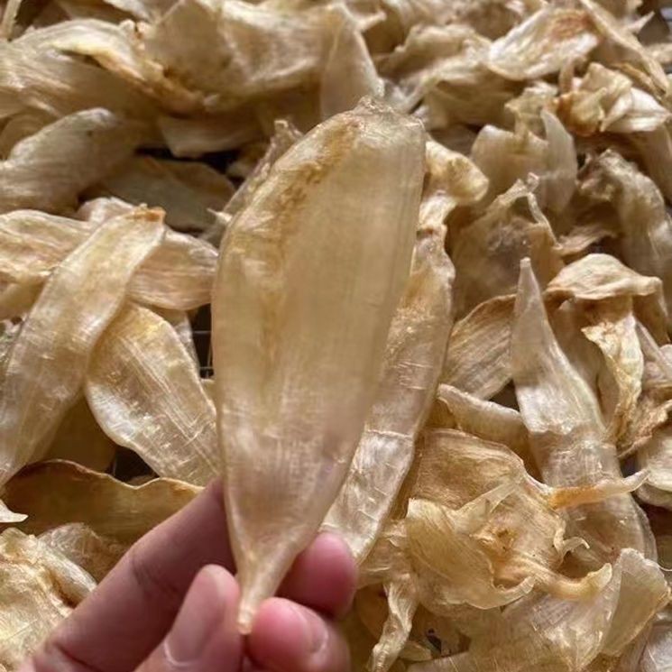 金龍魚膠和鳘魚膠區別