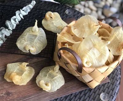金龍魚膠和鳘魚膠區別
