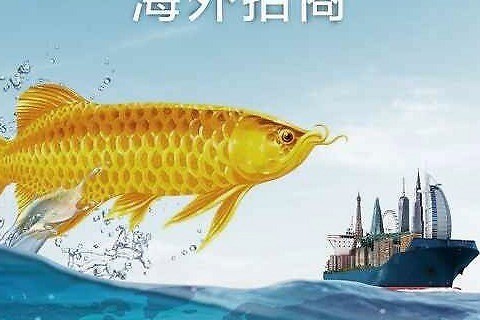 曲靖市麒麟?yún)^(qū)極致水族觀賞魚店（曲靖市麒麟?yún)^(qū)極致水族觀賞魚店地址）