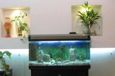 辦公室門口放魚缸風水好不好：辦公室門口放魚缸有什么風水禁忌？