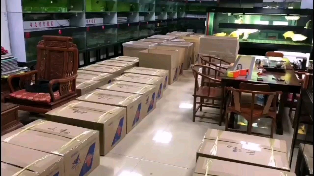 天津、杭州30件紅龍直營店加油