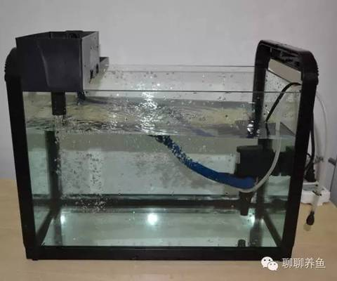 博特水泵使用說明視頻講解（博特水泵使用說明視頻講解大全）