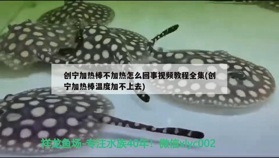 創寧加熱棒不加熱怎么回事視頻教程全集(創寧加熱棒溫度加不上去)