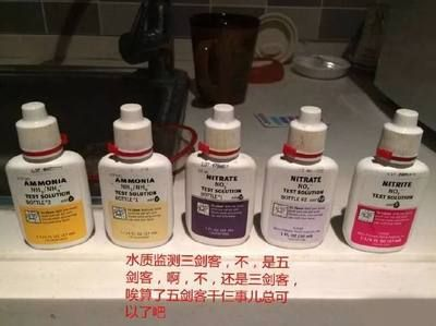 魟魚水質檢測頻率建議：魟魚養殖中水質檢測的頻率問題