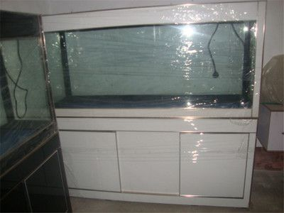 大型魚缸怎么加熱：大型魚缸加熱棒的使用方法：您可以為大型魚缸加熱