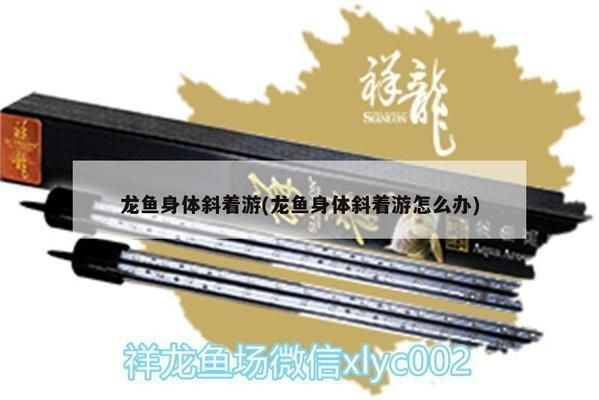 龍魚外寄能自己恢復嗎vs祥龍魚場:如何預防龍魚外寄病 vs祥龍魚場 第5張 龍魚外寄能自己恢復嗎vs祥龍魚場:如何預防龍魚外寄病 龍魚外寄能自己恢復嗎vs祥龍魚場:如何預防龍魚外寄病 vs祥龍魚場 第5張