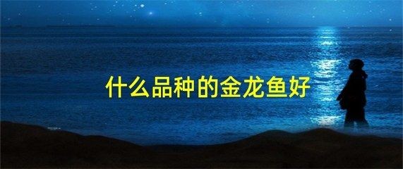 過背金龍魚能吃嗎有毒嗎圖片:探討過背金龍魚的安全性及其食用價值 金龍魚百科 第5張 過背金龍魚能吃嗎有毒嗎圖片:探討過背金龍魚的安全性及其食用價值 過背金龍魚能吃嗎有毒嗎圖片:探討過背金龍魚的安全性及其食用價值 金龍魚百科 第5張