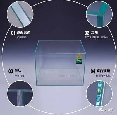 60厘米長(zhǎng)的魚(yú)缸要用多厚的玻璃呢：60厘米長(zhǎng)的魚(yú)缸玻璃厚度選擇指南