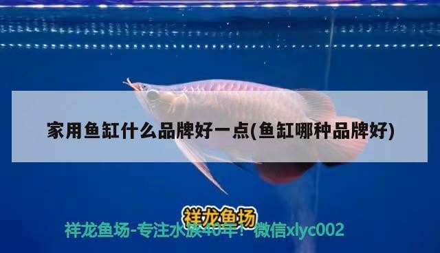 家用魚缸什么品牌好一點(魚缸哪種品牌好)