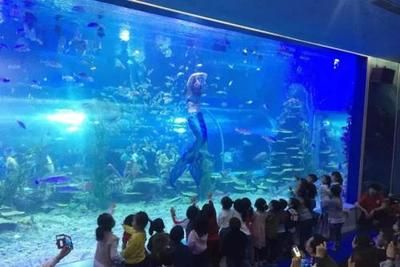 呼和浩特水族館vs祥龍魚場（呼和浩特水族館與祥龍魚場各有側重）