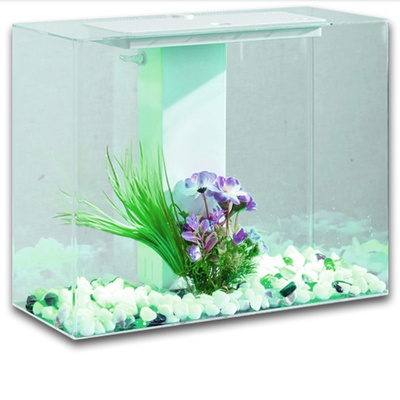 觀賞魚身上有白色點怎么治療