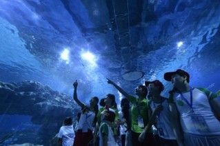 天水水族館vs祥龍魚場（天水市麥積區橋南亮點水族館是一個位于中國的水族館）