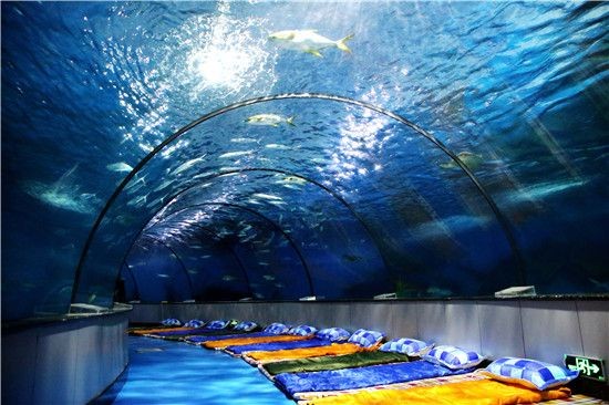 天水水族館vs祥龍魚場（天水市麥積區橋南亮點水族館是一個位于中國的水族館）