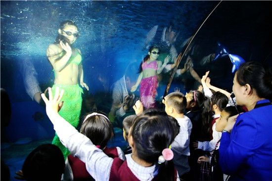 天水水族館vs祥龍魚場（天水市麥積區橋南亮點水族館是一個位于中國的水族館）