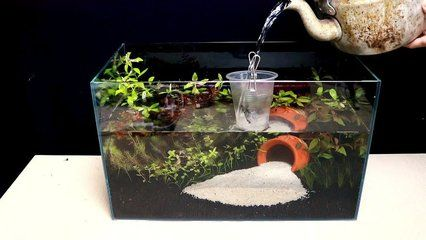 成品魚缸改造成草缸視頻：成品缸改造成草缸的步驟了解 成品魚缸改造成草缸視頻：成品缸改造成草缸的步驟了解 魚缸百科 第2張