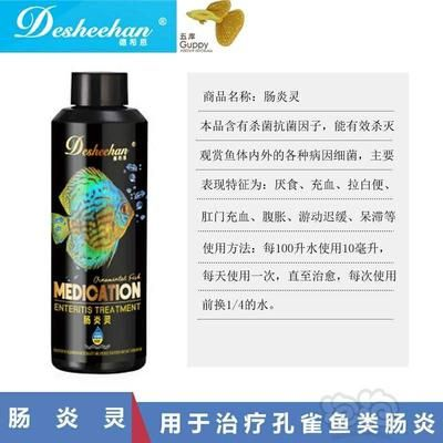 博特創(chuàng)寧酷魚：博特、創(chuàng)寧和酷魚哪個好
