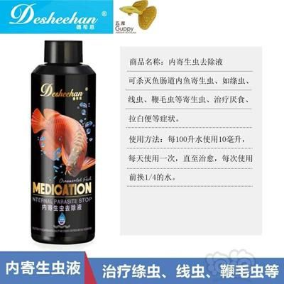 博特創(chuàng)寧酷魚：博特、創(chuàng)寧和酷魚哪個好