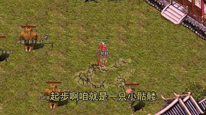 森森魚缸背景畫怎么去掉