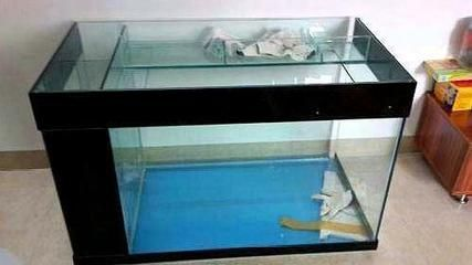 背濾魚缸制作視頻：背濾魚缸制作方法