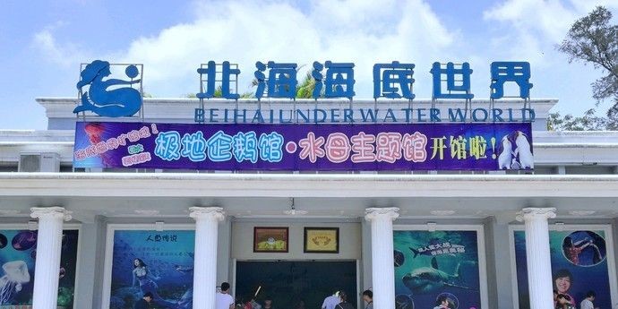 北海水族館vs祥龍魚場（中國廣西壯族自治區北海市北海市北海市北海市北海水族館） 北海水族館vs祥龍魚場（中國廣西壯族自治區北海市北海市北海市北海市北海水族館） 全國水族館企業名錄 第3張