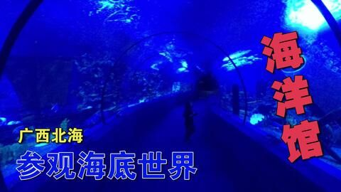 北海水族館vs祥龍魚場（中國廣西壯族自治區北海市北海市北海市北海市北海水族館） 北海水族館vs祥龍魚場（中國廣西壯族自治區北海市北海市北海市北海市北海水族館） 全國水族館企業名錄 第5張