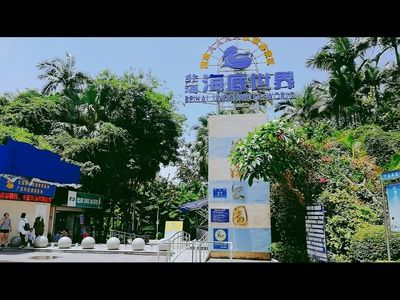 北海水族館vs祥龍魚場（中國廣西壯族自治區北海市北海市北海市北海市北海水族館） 北海水族館vs祥龍魚場（中國廣西壯族自治區北海市北海市北海市北海市北海水族館） 全國水族館企業名錄 第6張