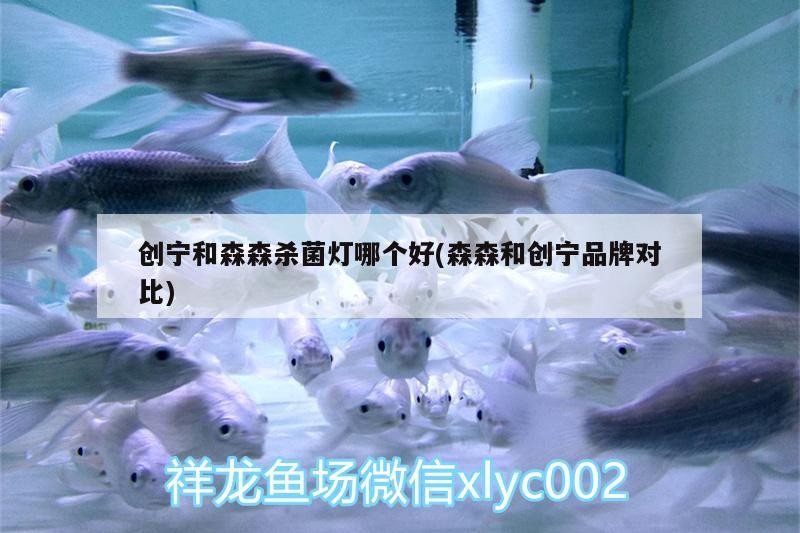創寧和森森殺菌燈哪個好(森森和創寧品牌對比)