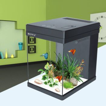 博宇的魚缸怎么樣：博宇品牌的魚缸在市場上有著一定的知名度和良好的口碑 博宇的魚缸怎么樣：博宇品牌的魚缸在市場上有著一定的知名度和良好的口碑 魚缸百科 第1張