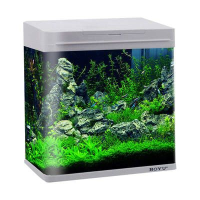 博宇的魚缸怎么樣：博宇品牌的魚缸在市場上有著一定的知名度和良好的口碑 博宇的魚缸怎么樣：博宇品牌的魚缸在市場上有著一定的知名度和良好的口碑 魚缸百科 第4張