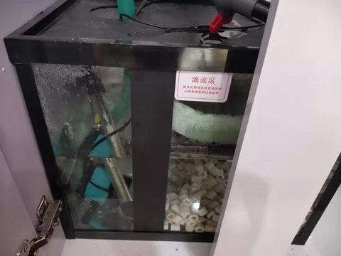 集賢縣金鵬水族館（集賢縣金鵬水族館電話）