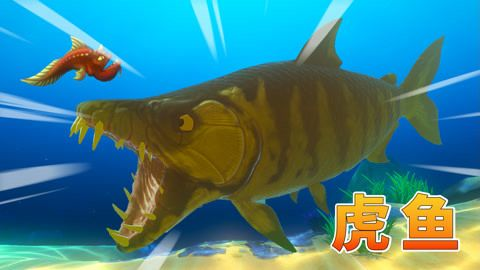 虎魚吃東西視頻：關于虎魚吃東西的相關信息