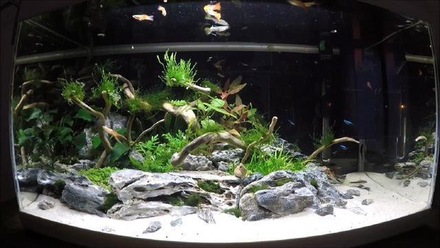 湖南魚缸廠家排名榜前十名