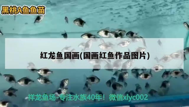 紅龍魚國畫(國畫紅魚作品圖片)