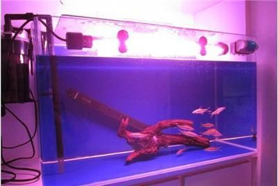 超白魚缸劃痕和裂紋：超白魚缸劃痕和裂紋處理方式