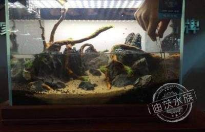大型魚缸如何造景視頻：大型魚缸造景的具體步驟和注意事項