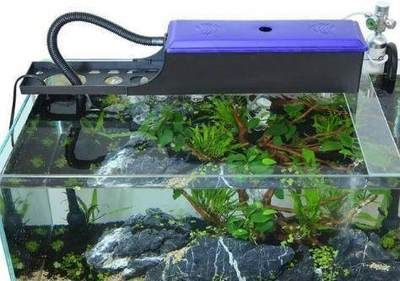 不插電過濾水魚缸能養魚嗎：不插電的魚缸可以養魚嗎古法養魚技巧古法養魚技巧