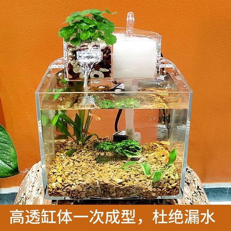 超白魚缸會漏水嗎：超白魚缸漏水原因及處理方法魚缸漏水原因及處理方法 超白魚缸會漏水嗎：超白魚缸漏水原因及處理方法魚缸漏水原因及處理方法 魚缸百科 第2張