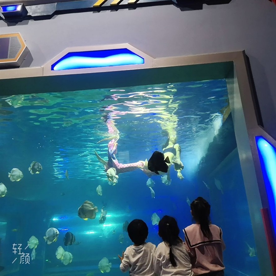 湘潭水族館vs祥龍魚場(探討湘潭水族館與祥龍魚場之間的差異時需要明確兩者的主要業(yè)務(wù)和特點) 全國水族館企業(yè)名錄 第4張 湘潭水族館vs祥龍魚場(探討湘潭水族館與祥龍魚場之間的差異時需要明確兩者的主要業(yè)務(wù)和特點) 湘潭水族館vs祥龍魚場(探討湘潭水族館與祥龍魚場之間的差異時需要明確兩者的主要業(yè)務(wù)和特點) 全國水族館企業(yè)名錄 第4張