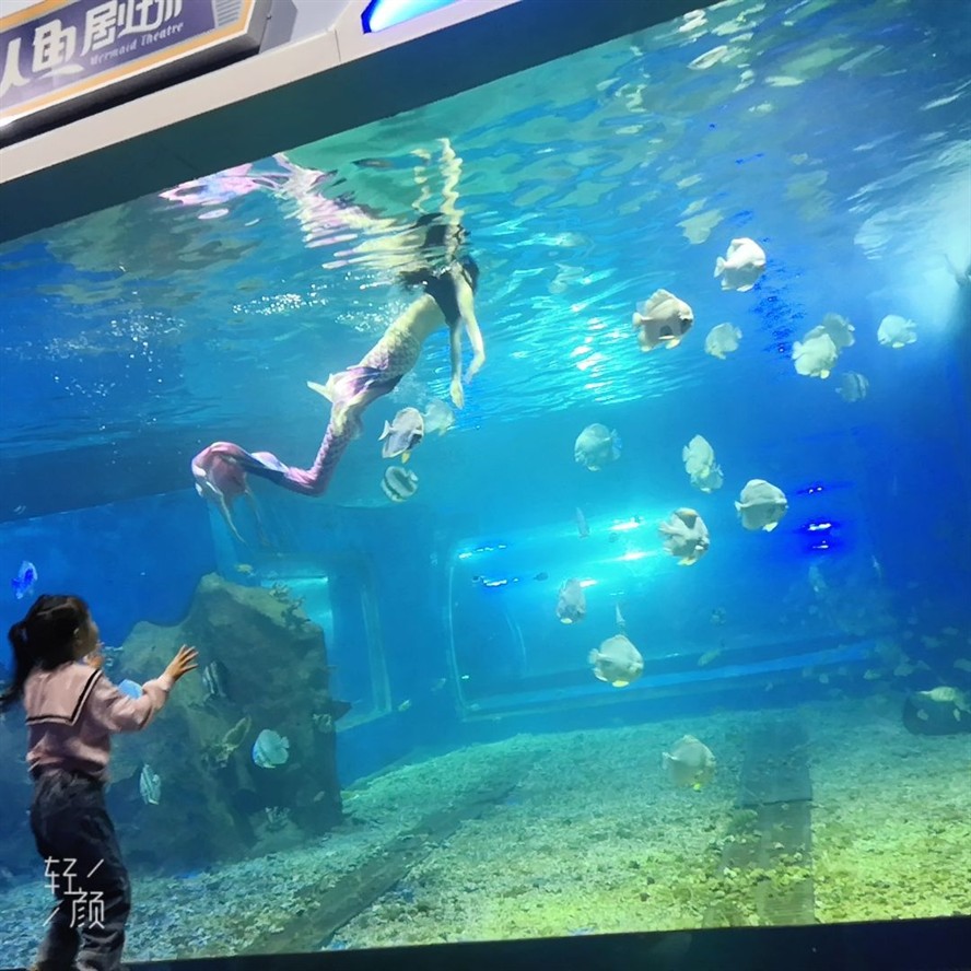 湘潭水族館vs祥龍魚場(探討湘潭水族館與祥龍魚場之間的差異時需要明確兩者的主要業(yè)務(wù)和特點) 全國水族館企業(yè)名錄 第5張 湘潭水族館vs祥龍魚場(探討湘潭水族館與祥龍魚場之間的差異時需要明確兩者的主要業(yè)務(wù)和特點) 湘潭水族館vs祥龍魚場(探討湘潭水族館與祥龍魚場之間的差異時需要明確兩者的主要業(yè)務(wù)和特點) 全國水族館企業(yè)名錄 第5張
