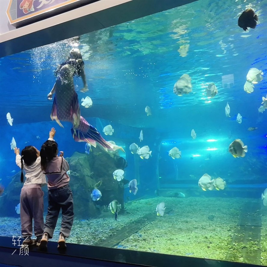湘潭水族館vs祥龍魚場(探討湘潭水族館與祥龍魚場之間的差異時需要明確兩者的主要業(yè)務(wù)和特點) 全國水族館企業(yè)名錄 第6張 湘潭水族館vs祥龍魚場(探討湘潭水族館與祥龍魚場之間的差異時需要明確兩者的主要業(yè)務(wù)和特點) 湘潭水族館vs祥龍魚場(探討湘潭水族館與祥龍魚場之間的差異時需要明確兩者的主要業(yè)務(wù)和特點) 全國水族館企業(yè)名錄 第6張