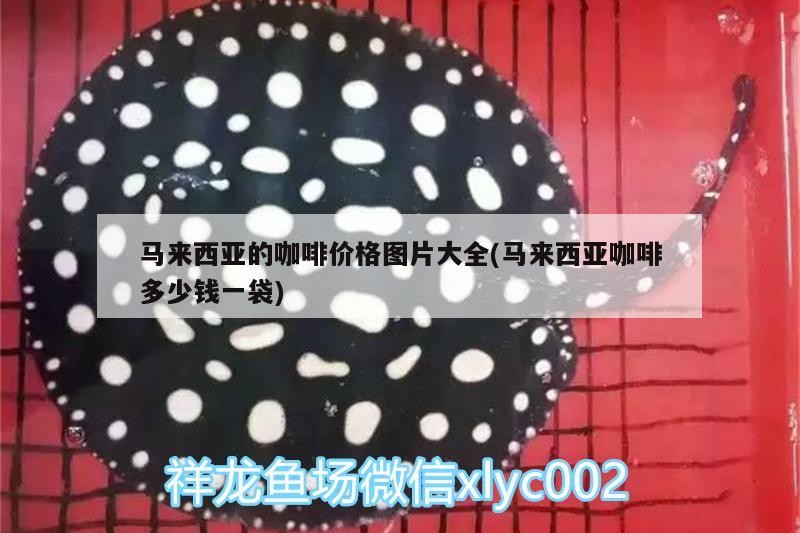 馬來西亞的咖啡價格圖片大全(馬來西亞咖啡多少錢一袋)