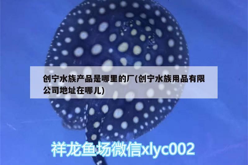 創寧水族產品是哪里的廠(創寧水族用品有限公司地址在哪兒)