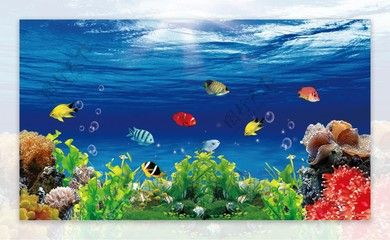 白色魚缸背景圖高清圖：白色魚缸背景素材大全